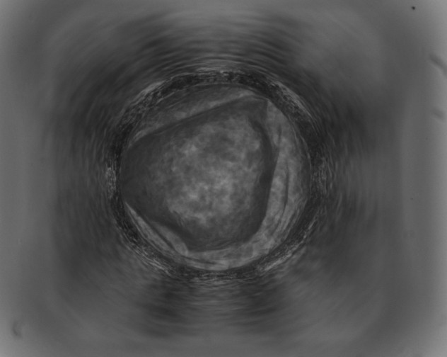 X0000091710821200709210940