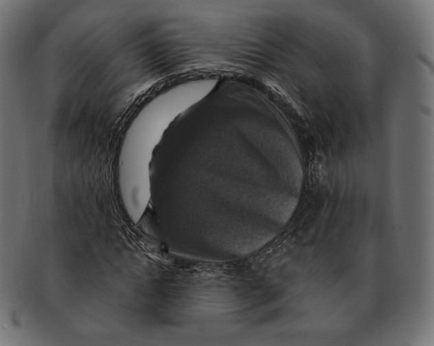 X0000091710822200709210940