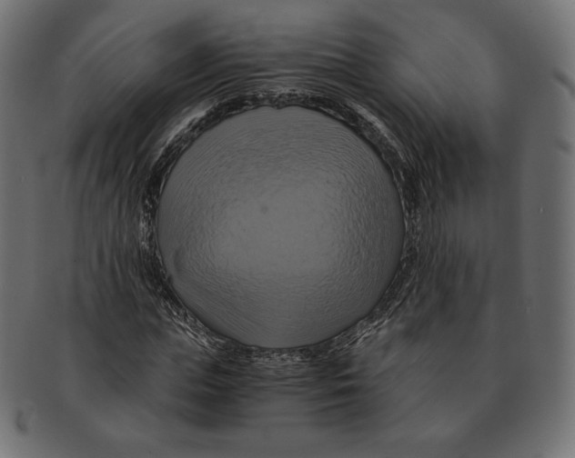 X0000091710823200709210940