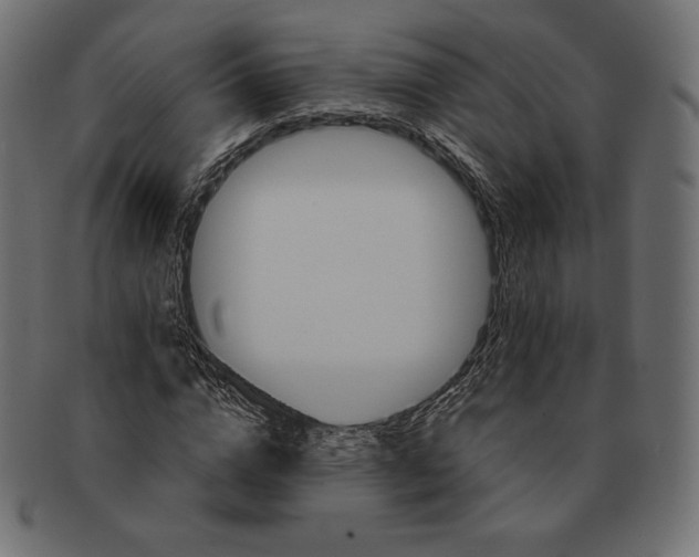 X0000091710824200709210940