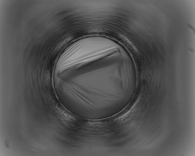 X0000091710825200709210940