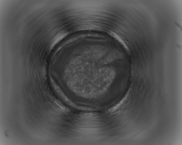 X0000091710826200709210940