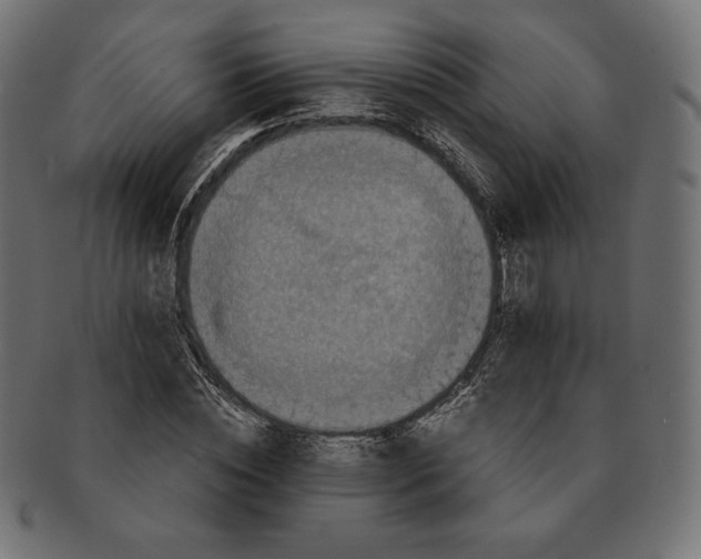 X0000091710828200709210940