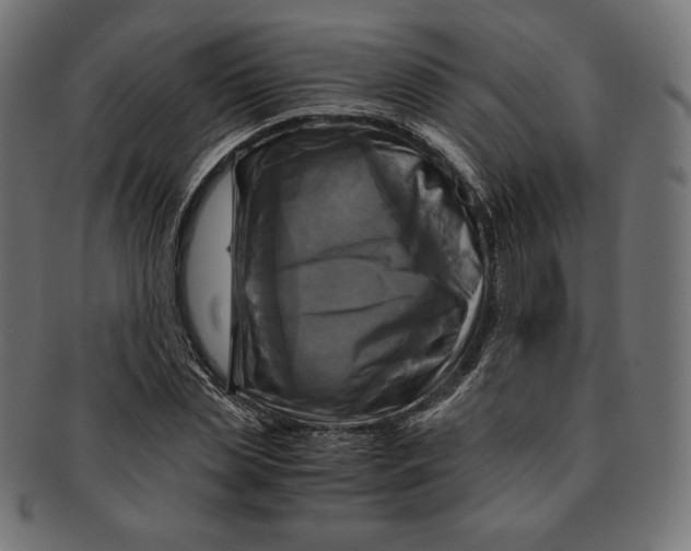 X0000091710829200709210940