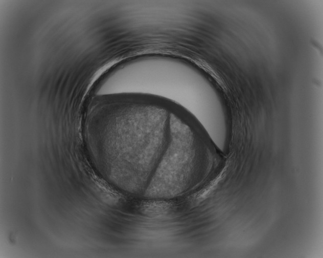 X0000091710830200709210940