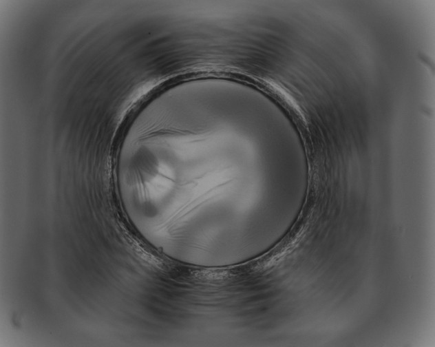 X0000091710831200709210940