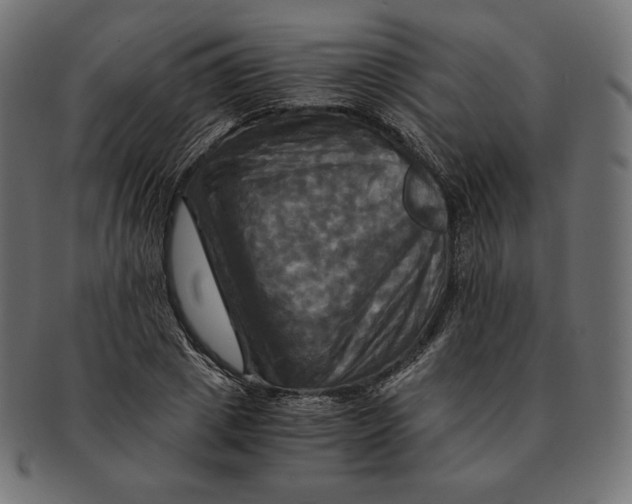 X0000091710833200709210940