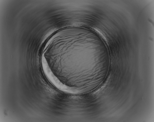 X0000091710835200709210940