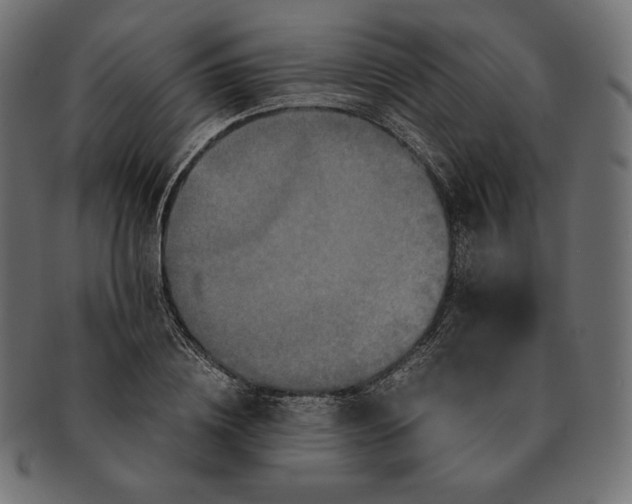 X0000091710836200709210940