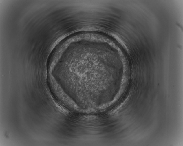 X0000091710837200709210940