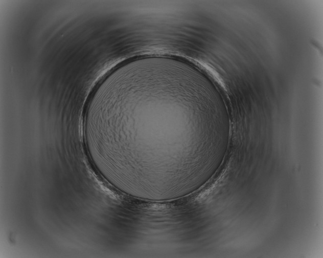 X0000091710839200709210940