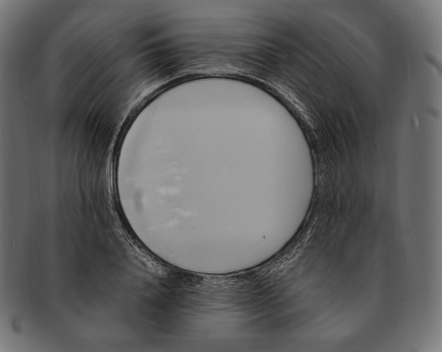 X0000091710840200709210940