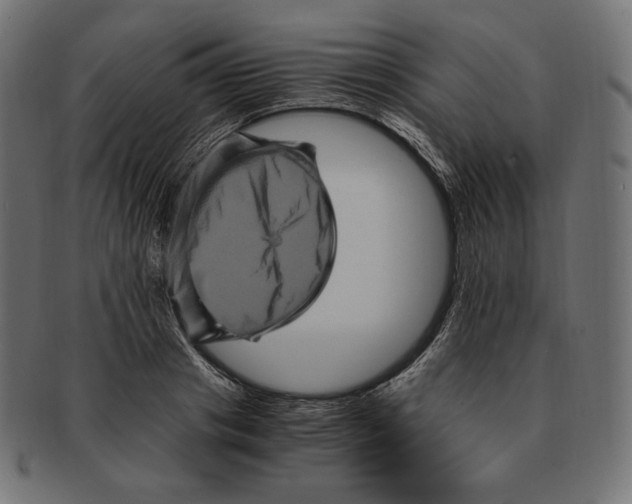 X0000091710841200709210940