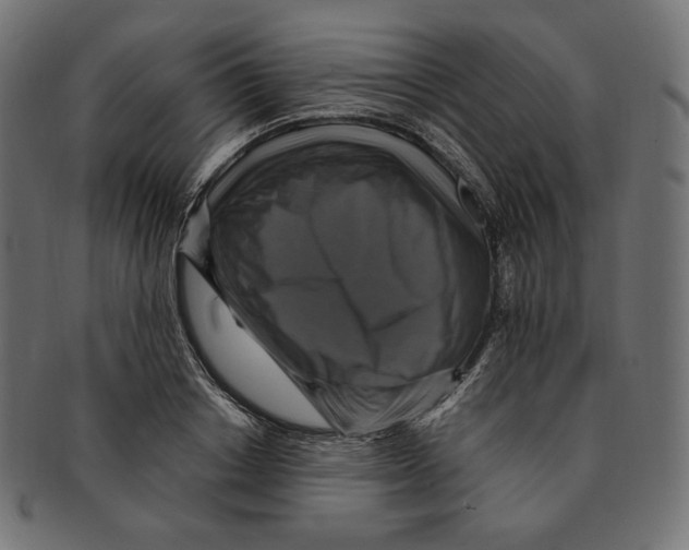 X0000091710842200709210940