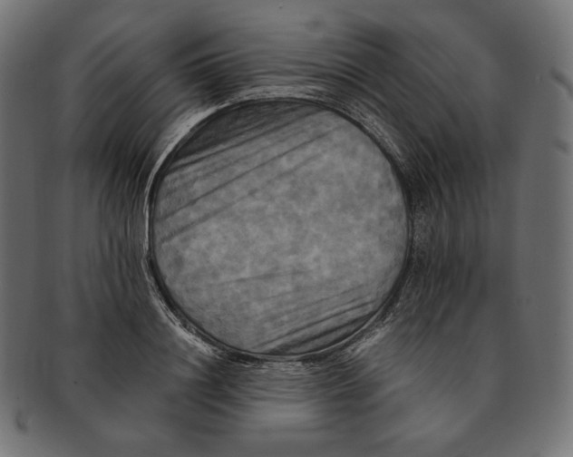 X0000091710844200709210940