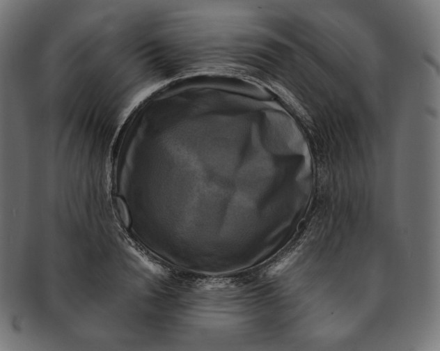 X0000091710846200709210940