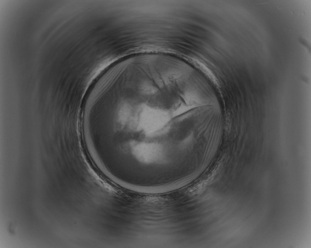 X0000091710847200709210940