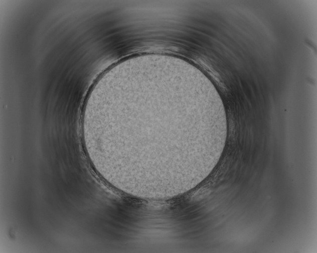 X0000091710848200709210940