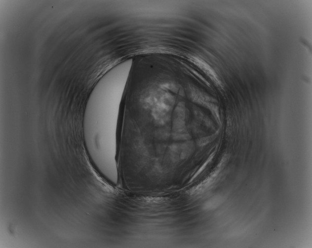 X0000091710849200709210940