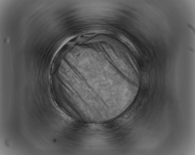 X0000091710852200709210940