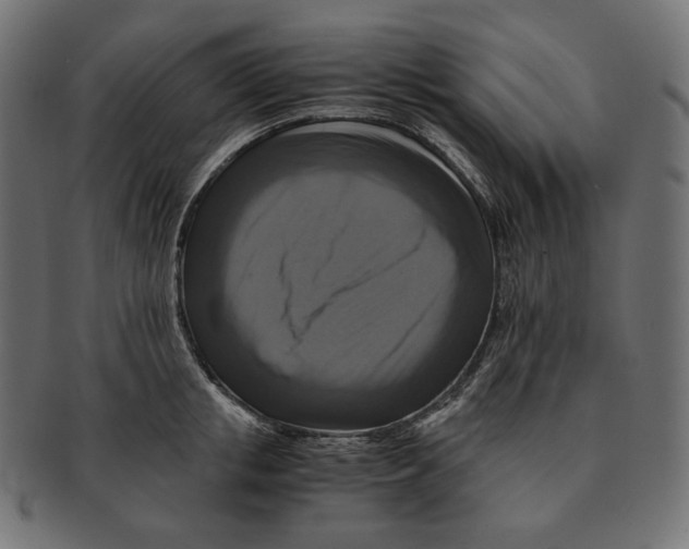 X0000091710853200709210940