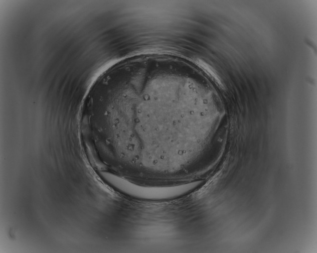 X0000091710854200709210940