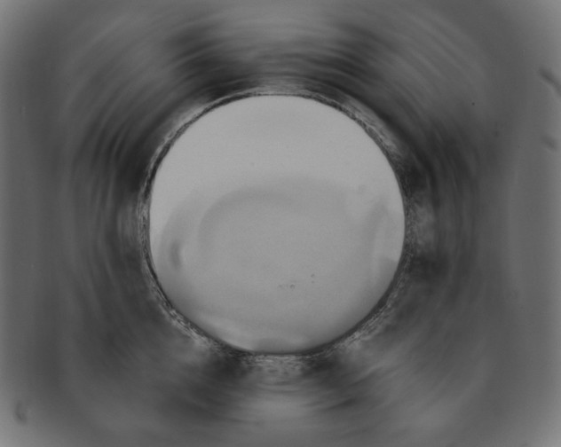 X0000091710856200709210940