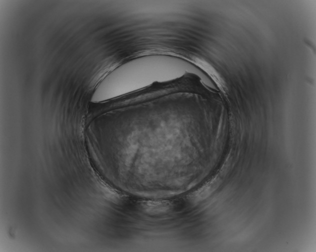 X0000091710857200709210940