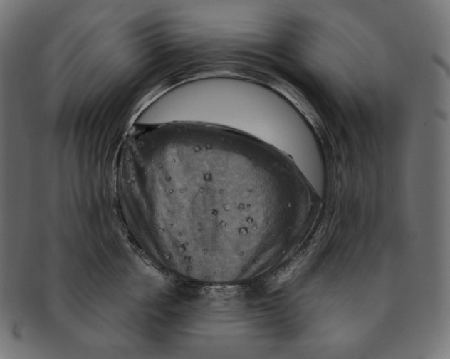 X0000091710858200709210940