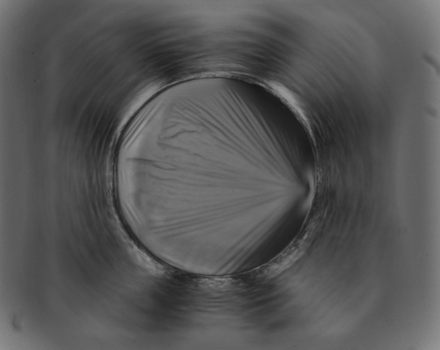 X0000091710859200709210940