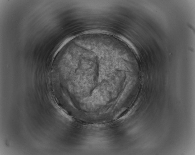 X0000091710860200709210940