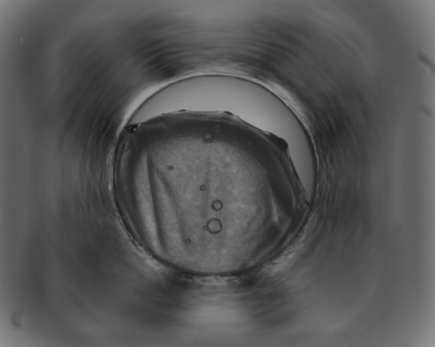 X0000091710862200709210940