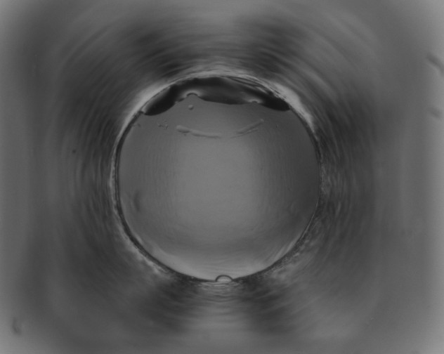 X0000091710863200709210940