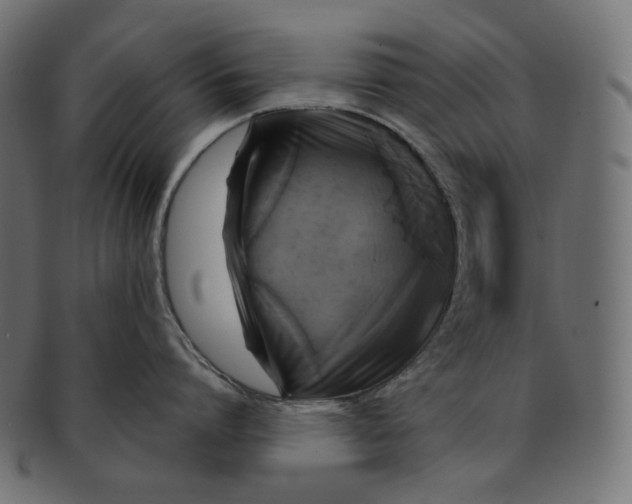 X0000091710864200709210940