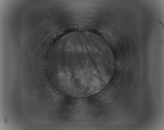 X0000091710865200709210940