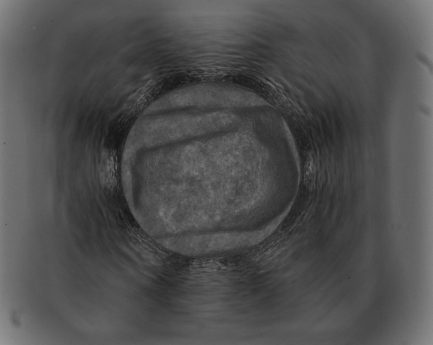 X0000091710866200709210940