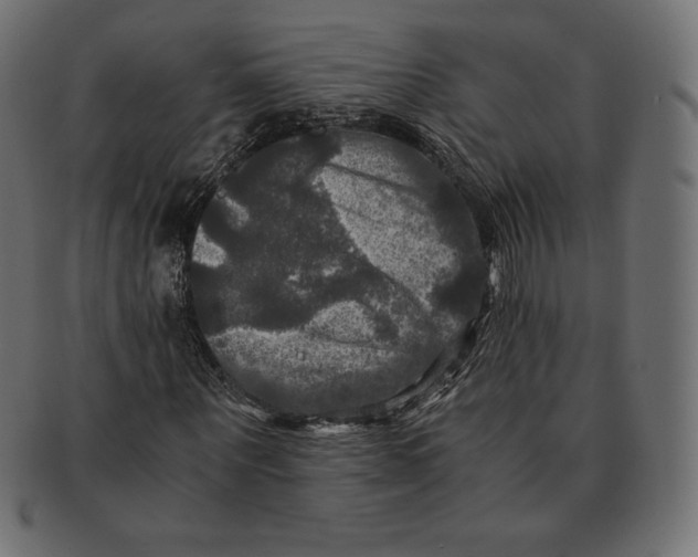 X0000091710867200709210940