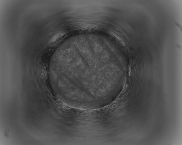 X0000091710869200709210940