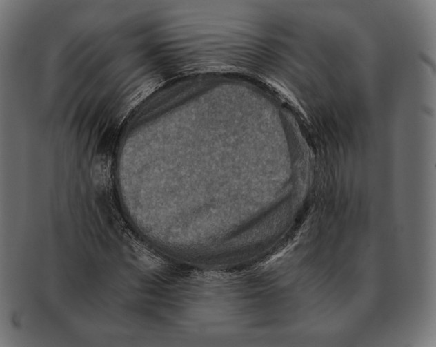 X0000091710873200709210940