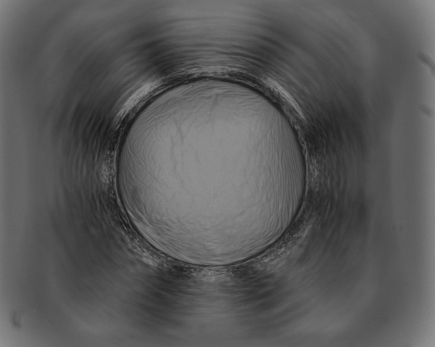 X0000091710874200709210939