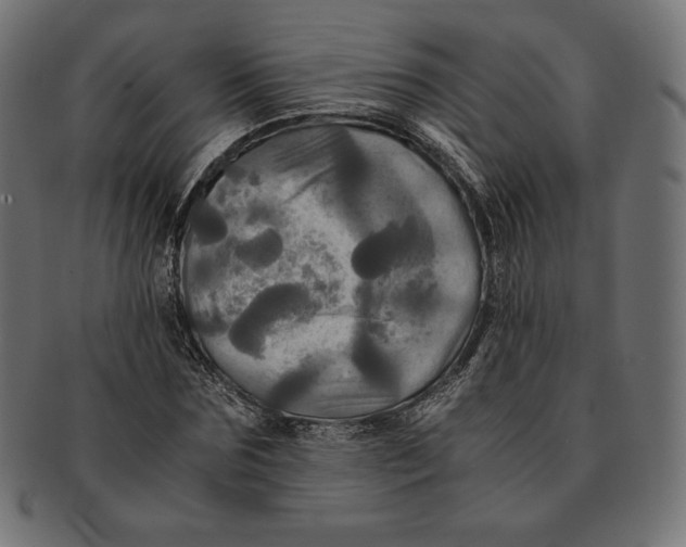 X0000091710875200709210939