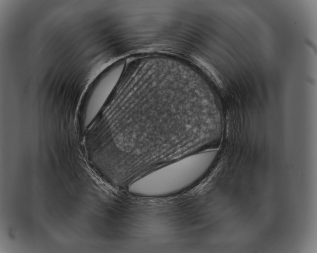 X0000091710876200709210939