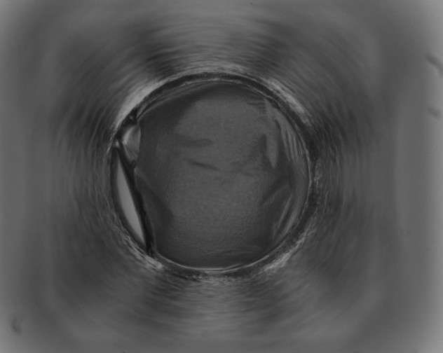 X0000091710877200709210939