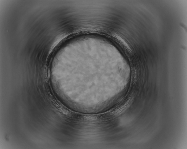 X0000091710878200709210939