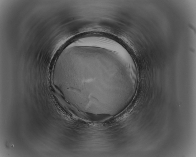 X0000091710879200709210939