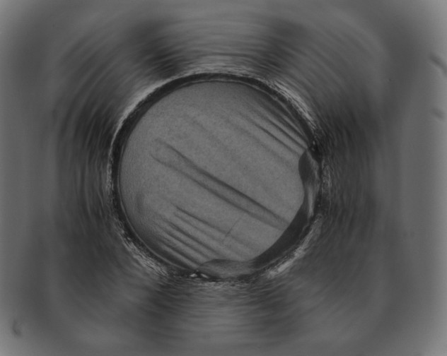 X0000091710880200709210939