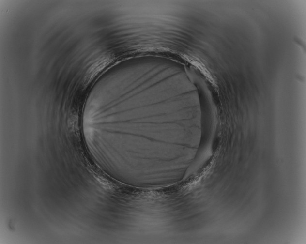 X0000091710881200709210939