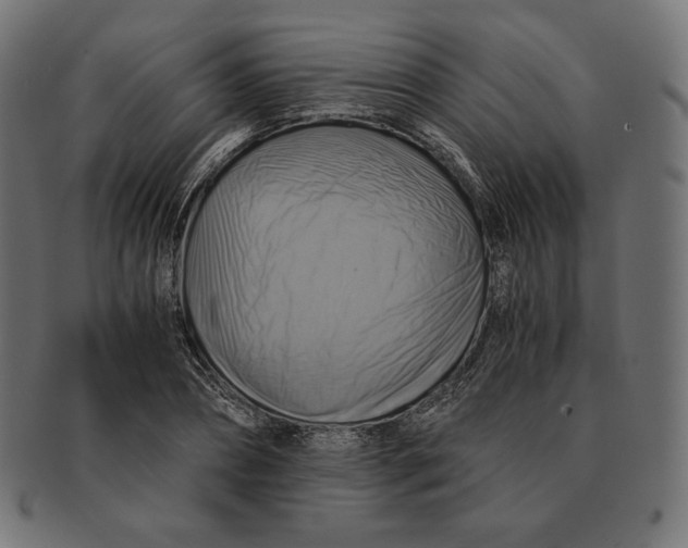 X0000091710882200709210939