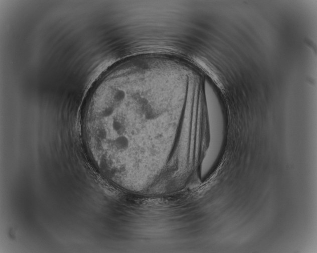 X0000091710883200709210939