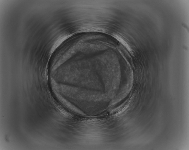 X0000091710885200709210939